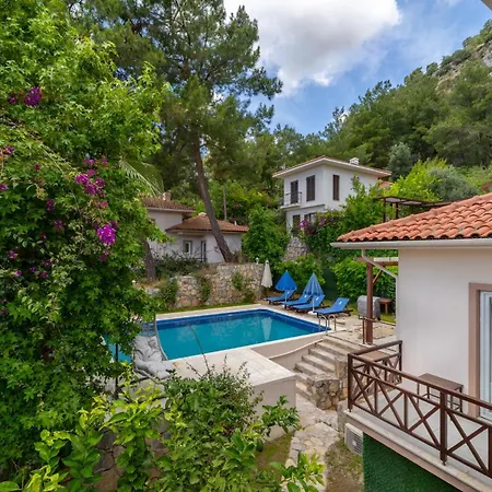Vila Oezel Havuzlu - Goecek