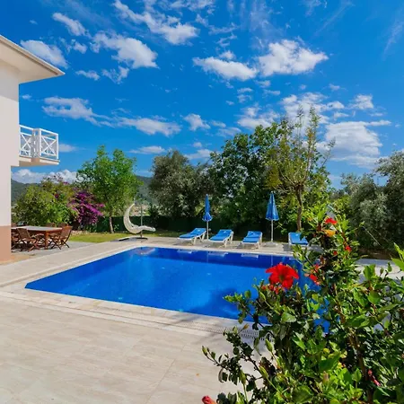 Vila Oezel Havuzlu - Goecek